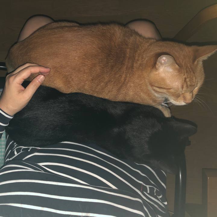 4936d068 cd15 4df3 9cd4 bb2768310c18 1724156670772