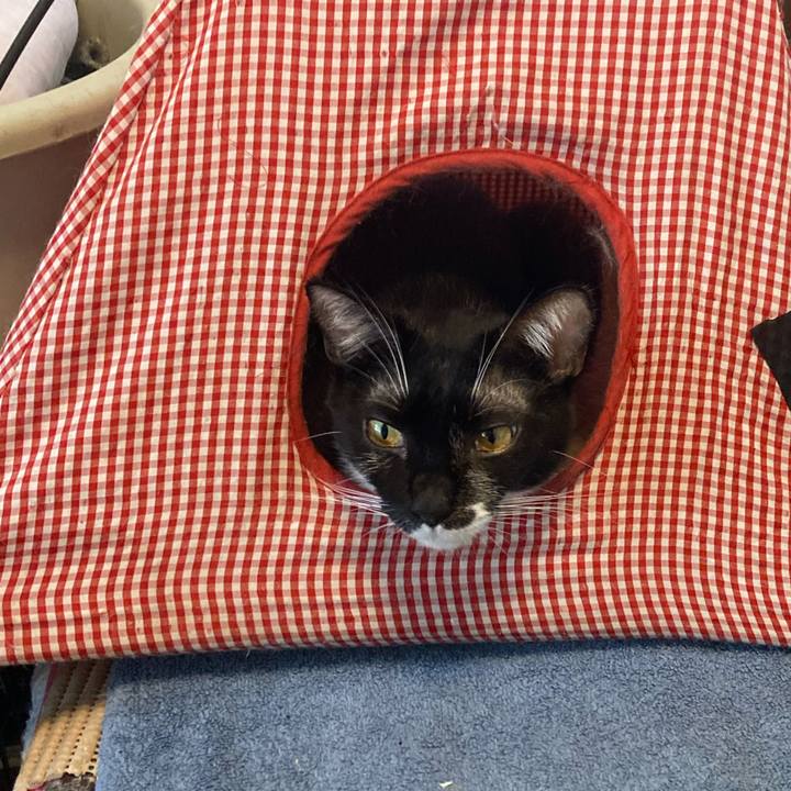 4936e7af 111f 4bc8 91a6 2eef8da72fc7 1693010859711