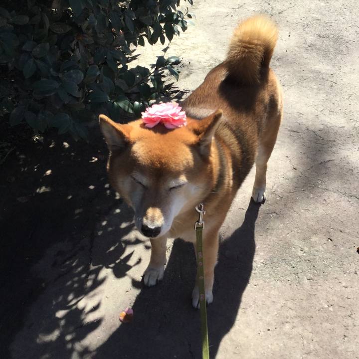 49370551 0e06 45e8 99cf 70a7fd11a771 1583899541189