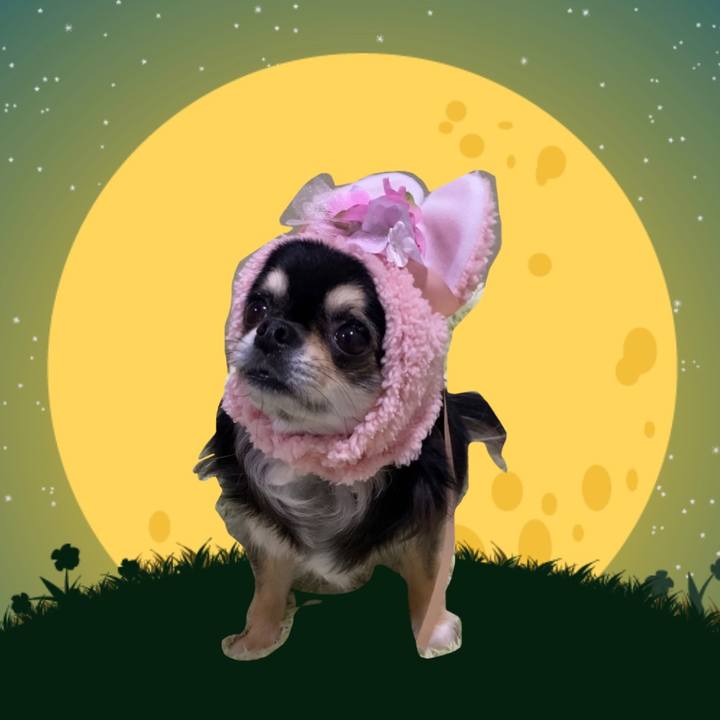 49372c93 c455 4ccd baf3 f6abf223d85a 1662805080285