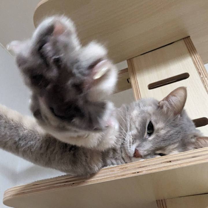 49373ad1 41c4 4838 ba4b 6afc9a69ad91 1707106525305