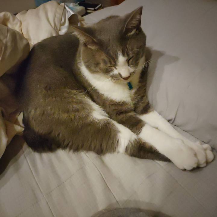 49373df4 6621 4e98 baf6 1b488dcf5c8b 1664369109941