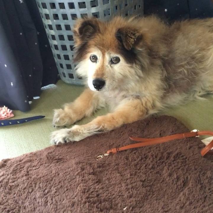 49375852 79dc 4d0e 8a55 c77100e4e07a 1577409690692