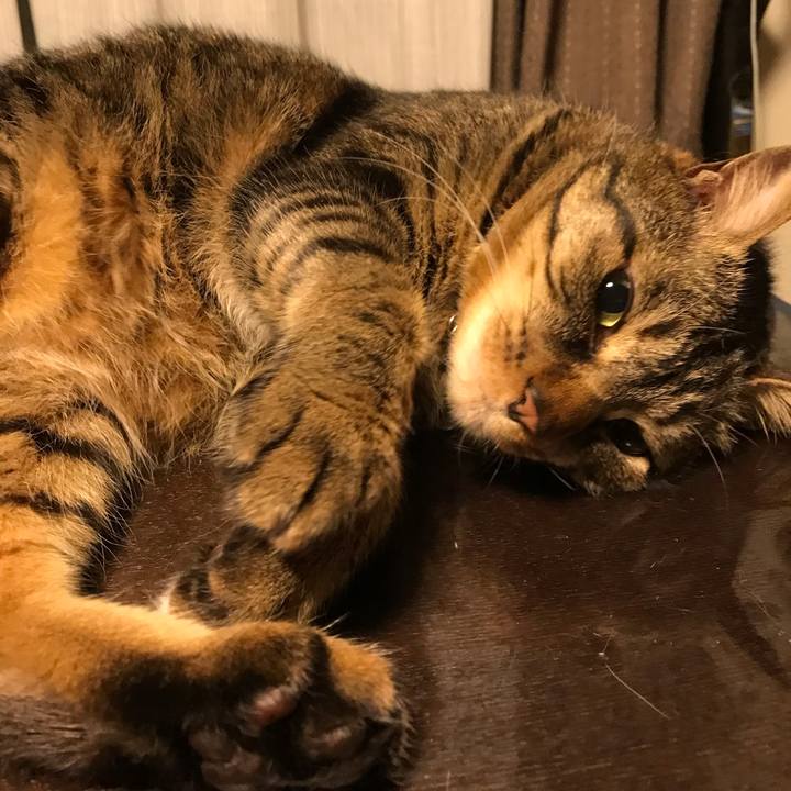 49375b54 f933 4b95 9977 0b1472ec2eac 1665663547881