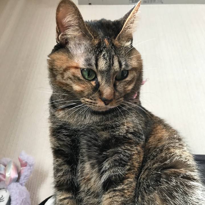 49376943 7ea2 4bec 9fb7 70ea677529f2 1513033852525