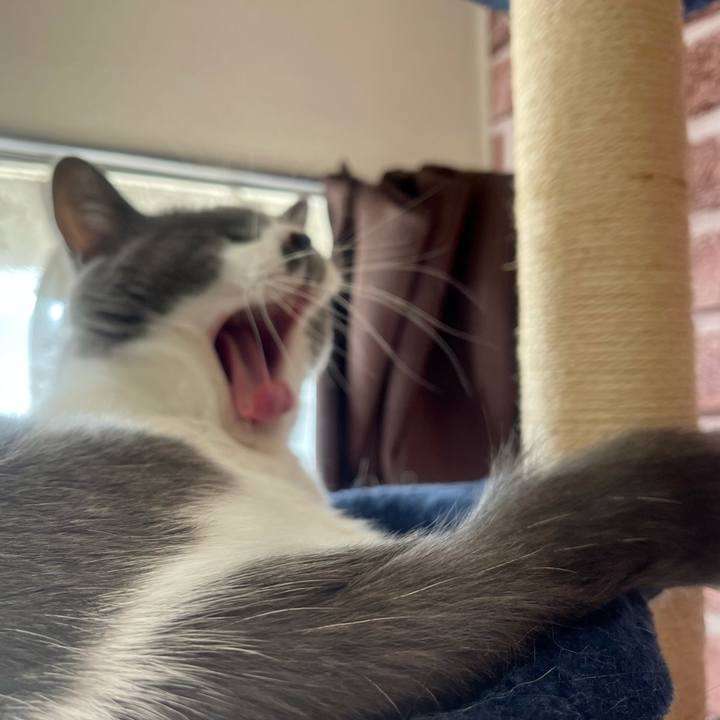 493769f7 9733 454f b31b fa9a6b96a006 1636945246488