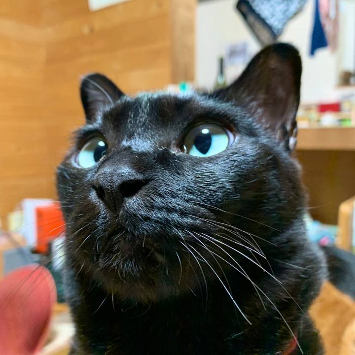 4937801f 9c65 46f5 84ab 6d99e28bfa42 1579355344631