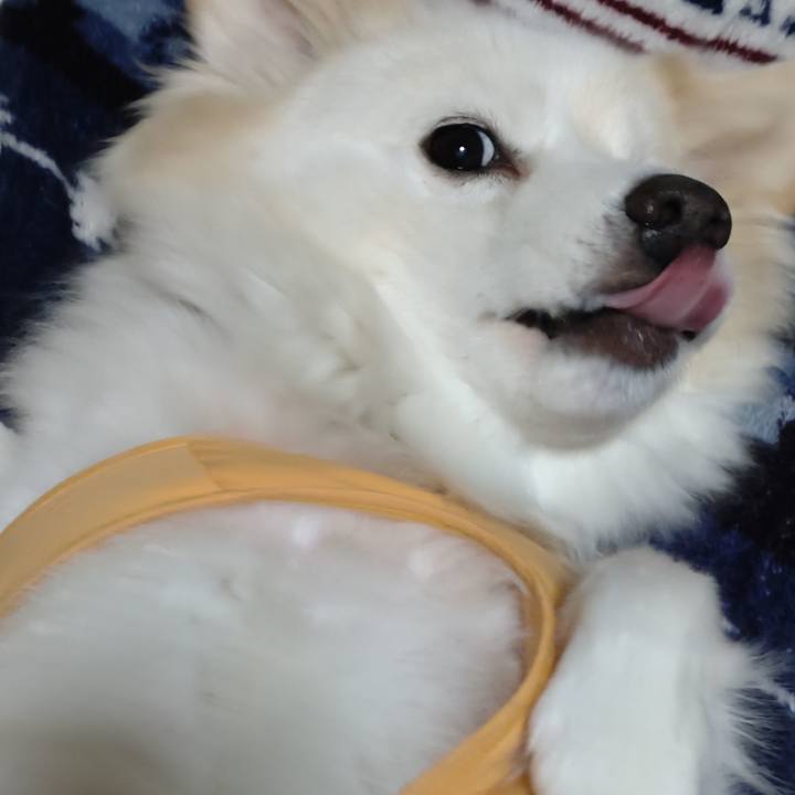 4937a44f 3b7c 4a28 8fef 022424733ff4 1640910432061