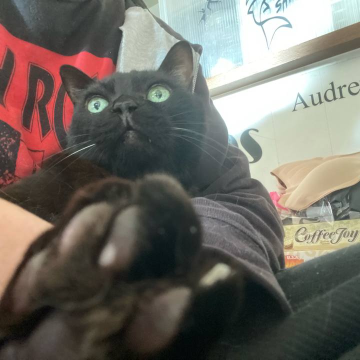 4937cedb 659e 44d2 9703 fb4230c340f7 1767151324711