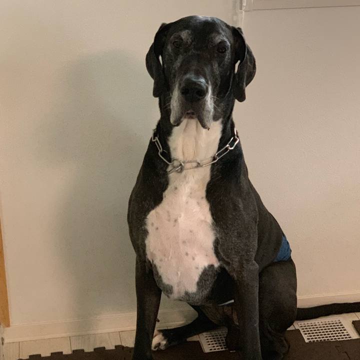 49389051 1230 4bcc 9f11 702fb9a97684 1556323265167