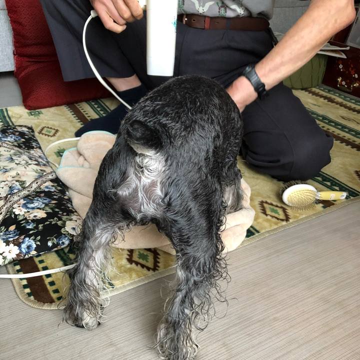 49389c2b f394 41c5 ab3a a90b82b418af 1653193656509