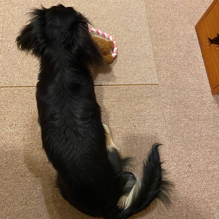 4938a288 b3ac 4de8 9198 ecccee960bdd 1718838540378