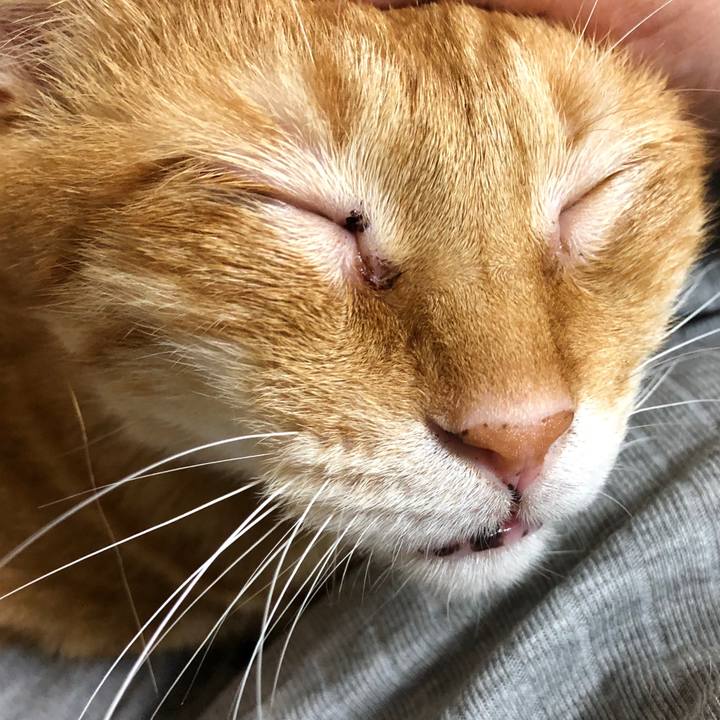 493906f2 62cd 4c71 907d 2d8bbbe5ba2e 1595019814420