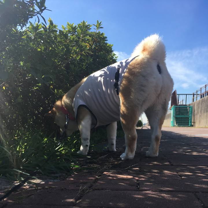 49392082 c15e 4c46 b714 e433477713a0 1573098672677