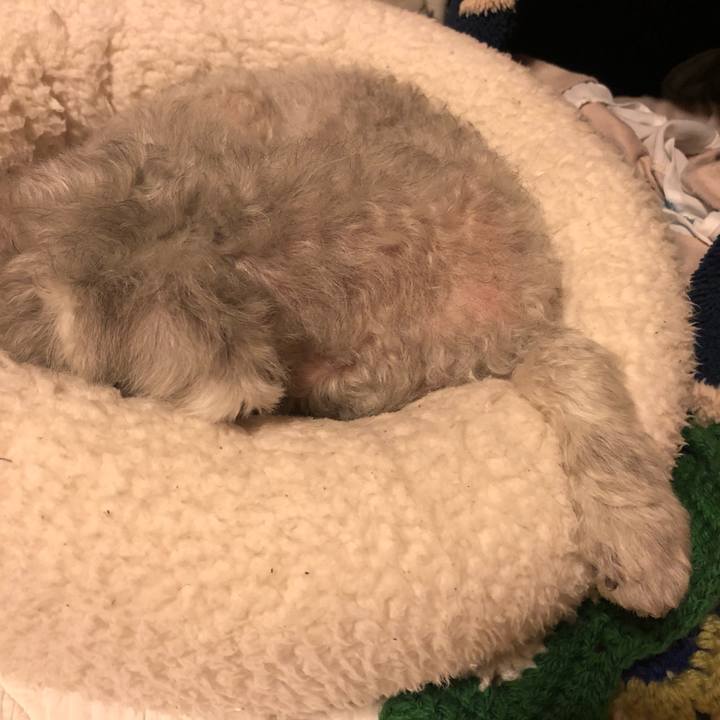 4939a9b0 2545 4bca 9fd8 0022cddd35f4 1590754065655