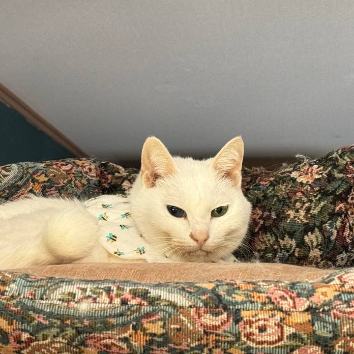 4939af38 8762 4dd5 a9cc cf219d6a7475 1767233743832