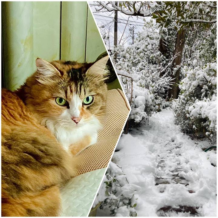 4939c646 ce4d 48db a41e 2f6e7e51f06f 1708580922909