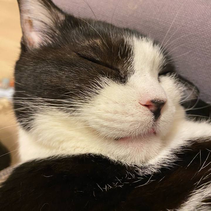 493a0de9 c920 4a1f b082 5079845ca30e 1718190289427