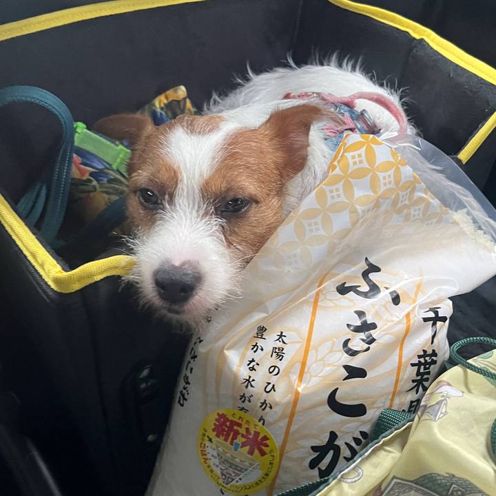 493a0f9d 65fa 4a67 ade4 77dfaeb94b5b 1757772186835