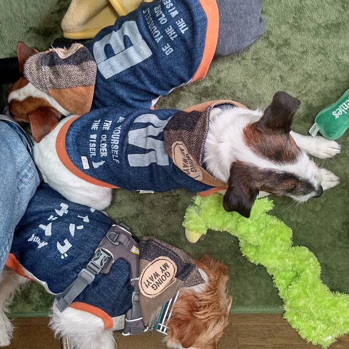 493a27de e396 42a8 8def 65d8b57cfc76 1646814998557