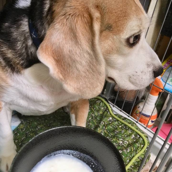 493a2b1a eb1d 464c 841d b770184ec478 1560308651587