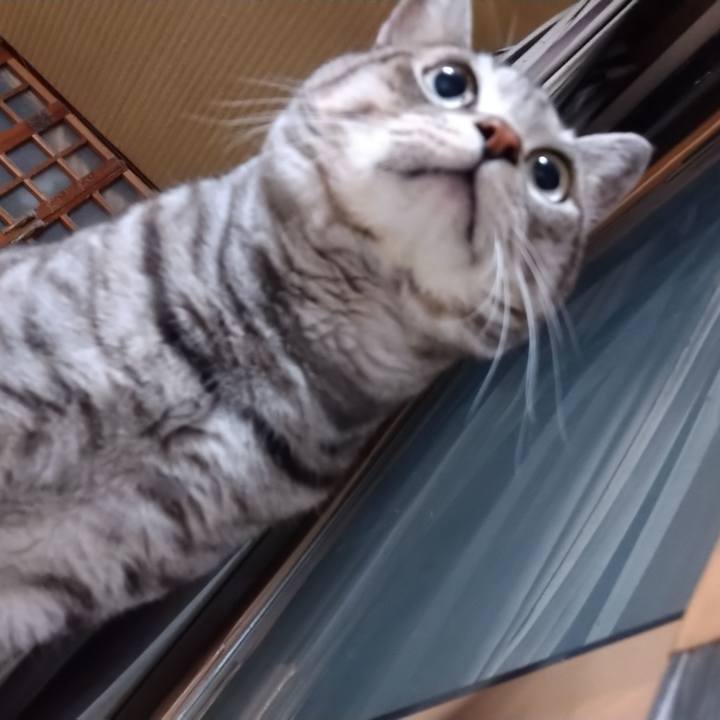 493a4df0 2dfe 4728 a1c0 0be40dd3bf52 1671533710679