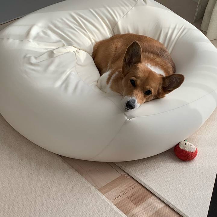 493a57bf 4a52 4162 a3ad ed5f63229606 1673248014782