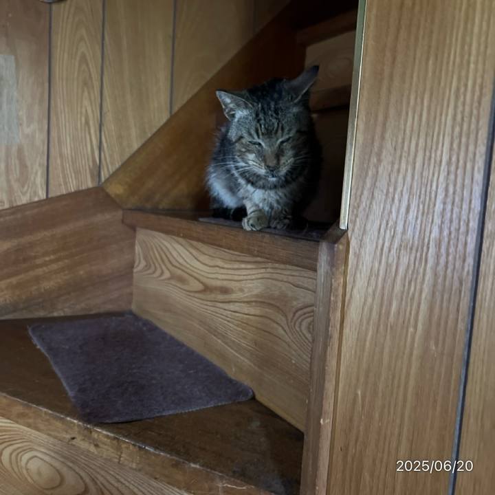 493a5c75 b6eb 46fb 860f e80edecc97a3 1750370337780