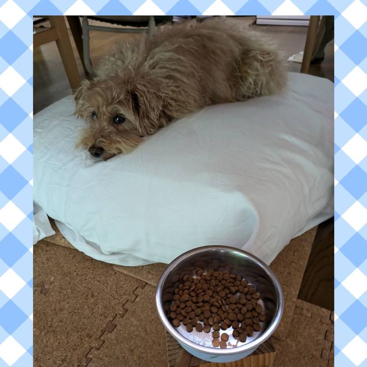 493a609c 2dab 462e 86f7 7fde152a1887 1721078571949