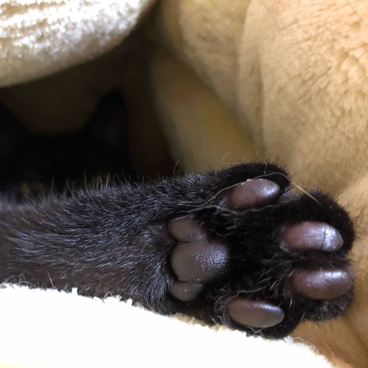 493ac0b0 ef13 46c6 95fe 4b2e0ed65a0f 1618338322242