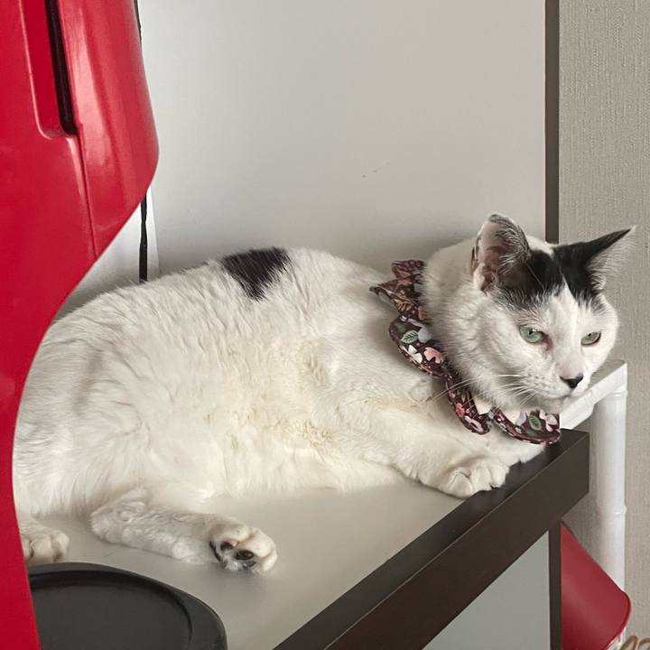 493ac8fc e56c 431c 8ca5 8283df1aacad 1679542447107