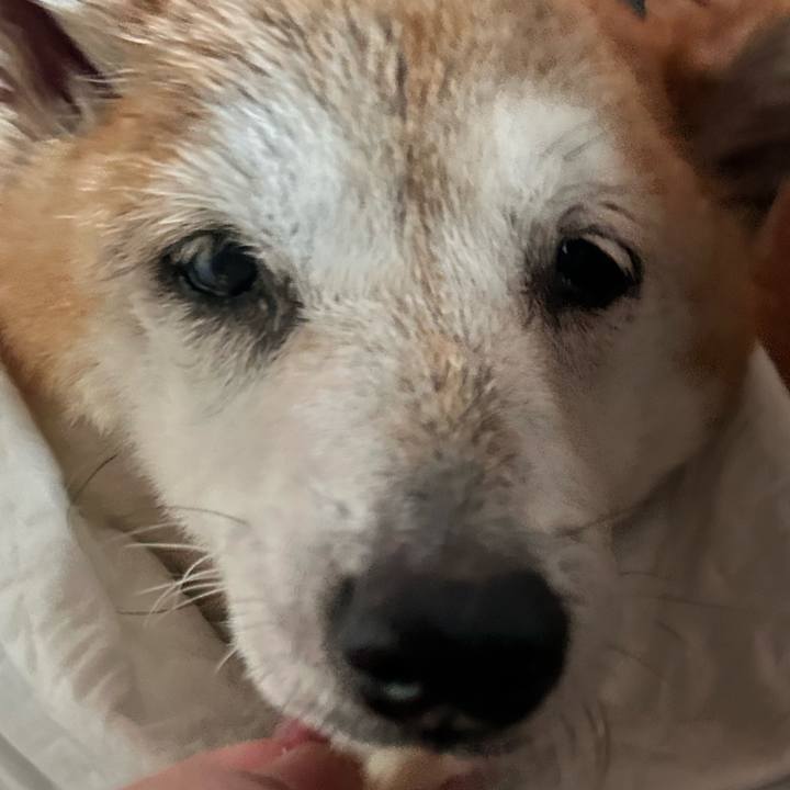 493af275 4113 4fc8 b10d 1f0faed65f53 1762655478800