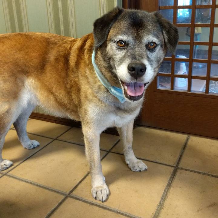 493b133f 99de 4017 b948 d487cef9cf4e 1530487460098