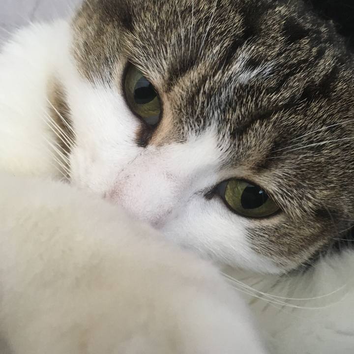 493b2dbb f65d 4de3 bf06 516a5fb3f285 1637720429940