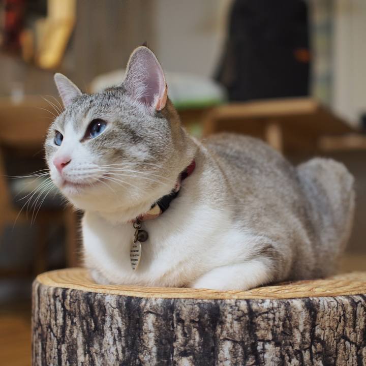 493b3005 a1ea 49b9 b359 eaae91bec6be 1591522348138