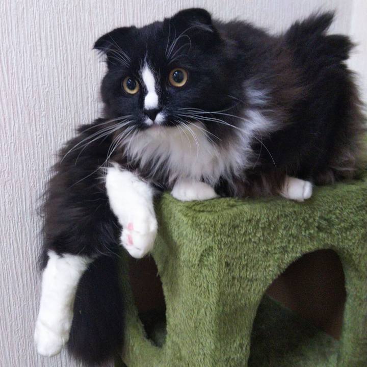 493b434d 5a3f 4904 b37c 2b30a94dc95e 1653610671498