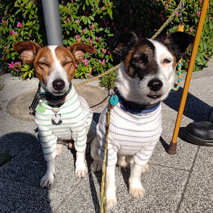 493ba489 c6f8 41a6 9a43 54358723ca57 1713310098238