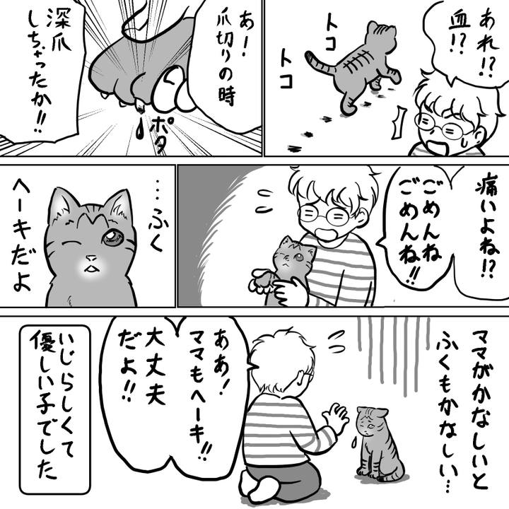 493bab29 521f 45b4 9d10 6013b48cf33d 1746087233025