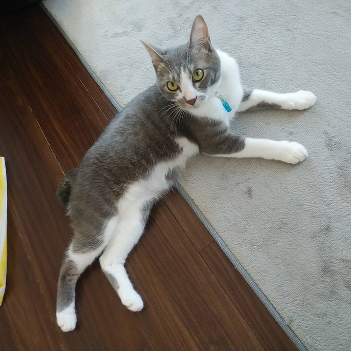 493bdb5b f62a 4964 b916 1966925d2b38 1592608007912