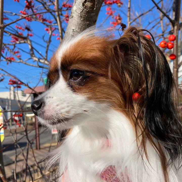 493be280 f217 4ae9 9240 3088e0f6fe2b 1639023975484