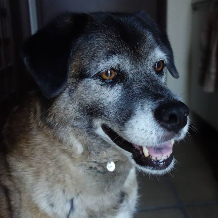 493c0789 b61f 42d4 a35e 3ab56f5d540b 1639271012802