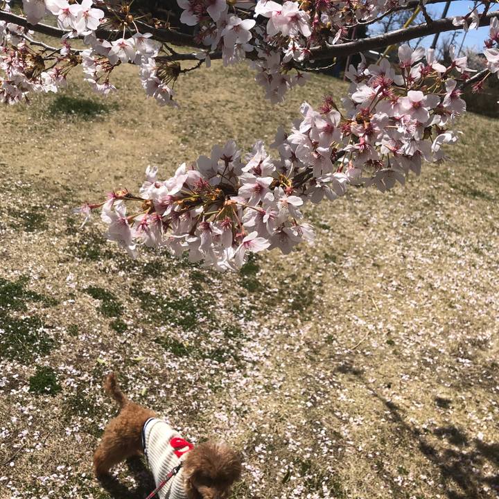 493c1014 254d 414d b8b9 1b8eae95fa1c 1586866042543