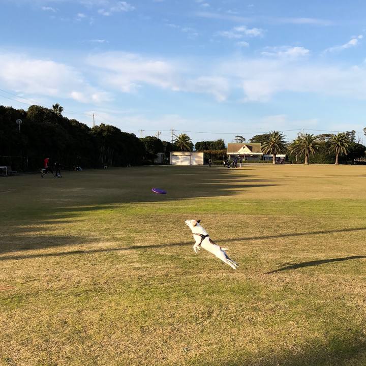 493c179d 269b 46f5 a2e7 1cbb483a1119 1511615436530