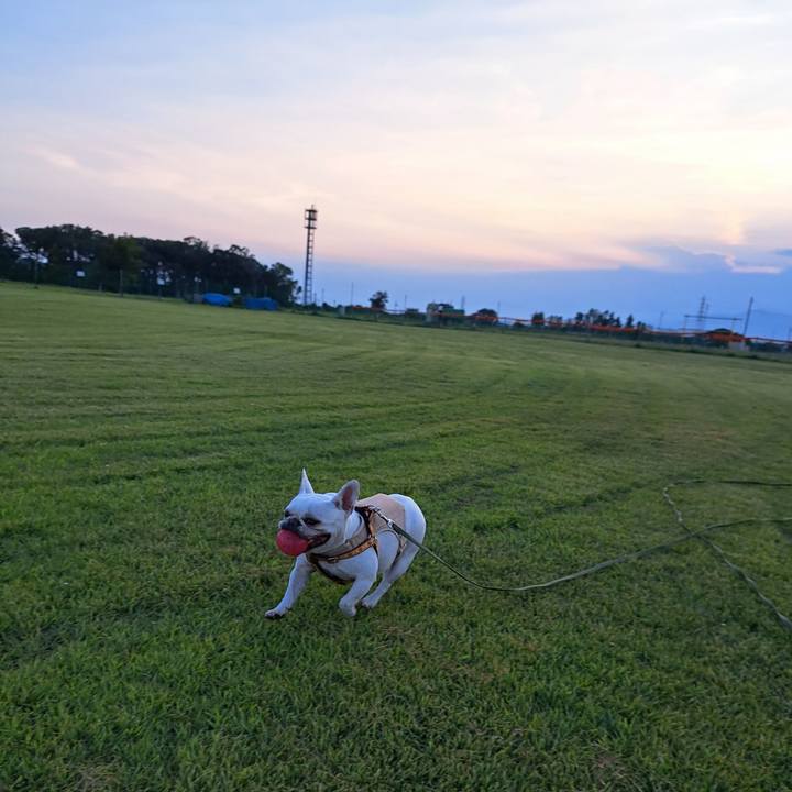 493c1cab 5149 4447 884c 637e72d9be32 1690366486254