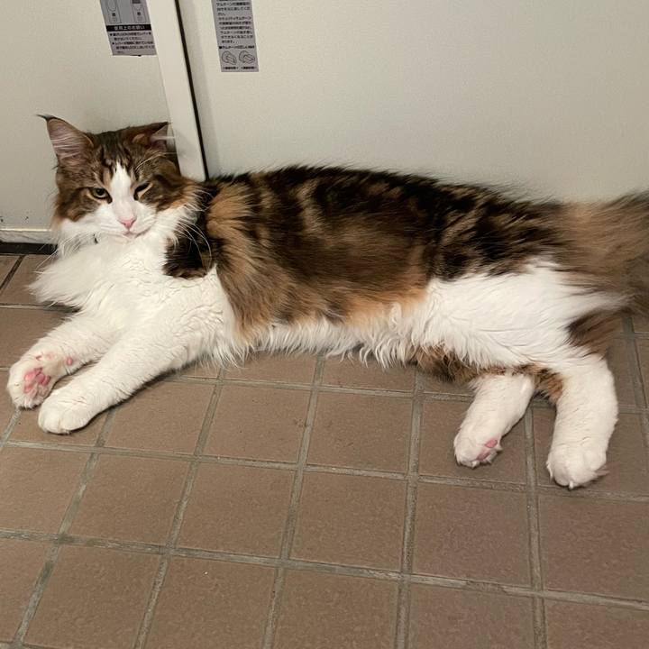 493c5a84 5d5f 4ba7 b813 11f4aca70c0b 1649449292193