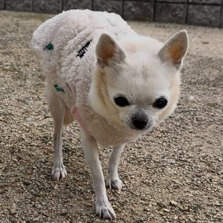 493c75ed d143 465d af54 f1a5dcee0ab7 1767160305686