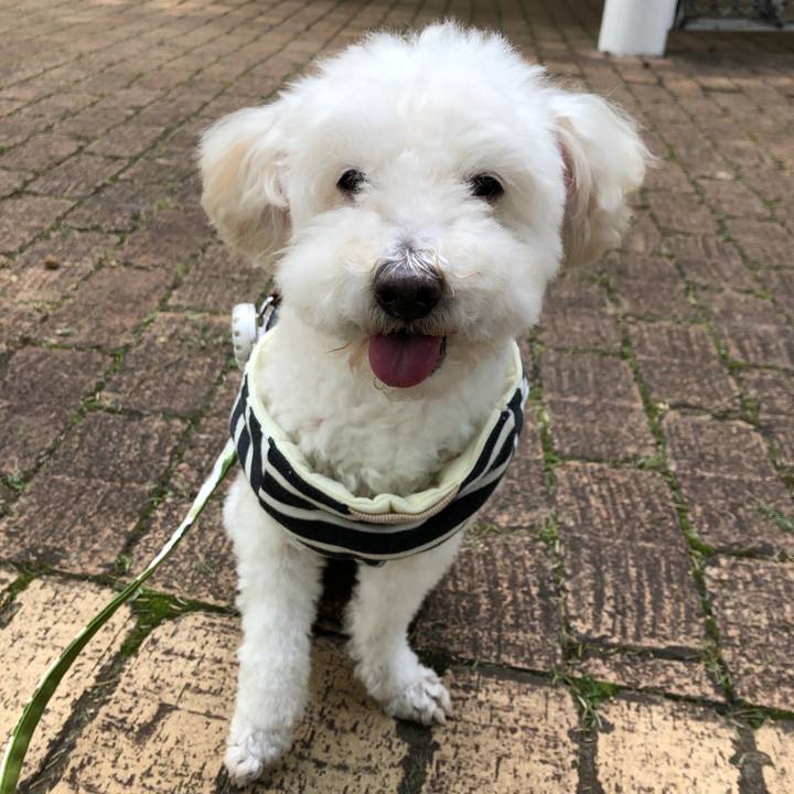 493ce2d2 dc2f 461c 89b3 b58281503d50 1539141419032