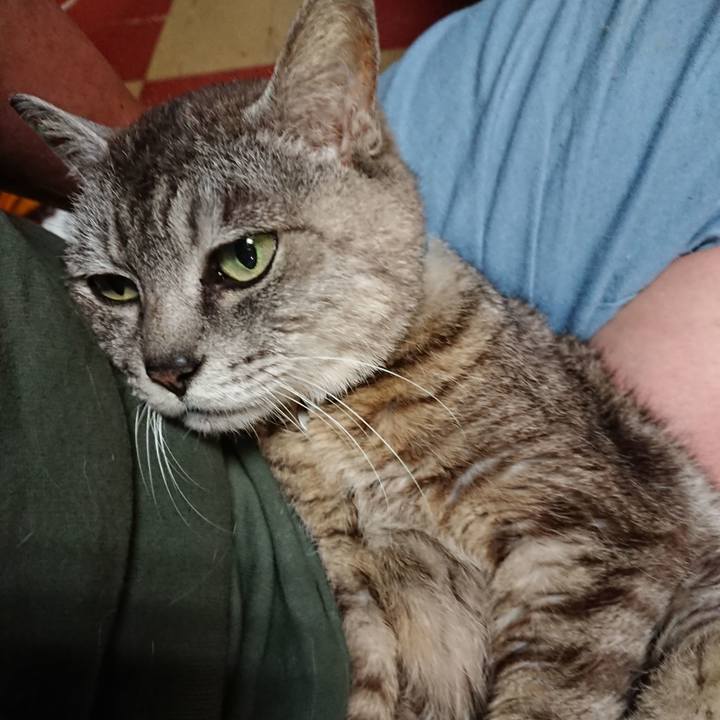 493cef68 8094 4a66 bf9c 25f7a98c92c4 1564743426122