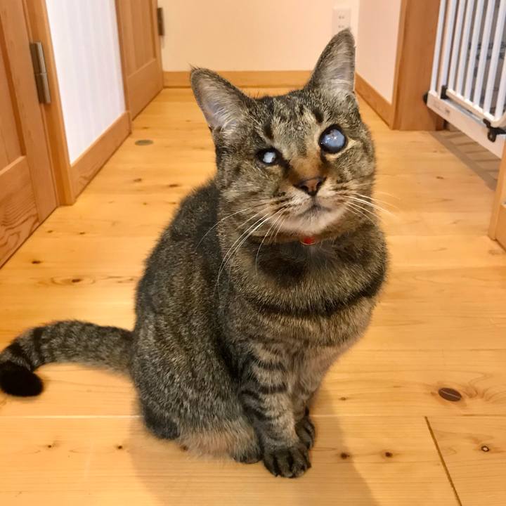 493cfc49 dd0d 475b a2c7 0d120ca618f6 1618656925503