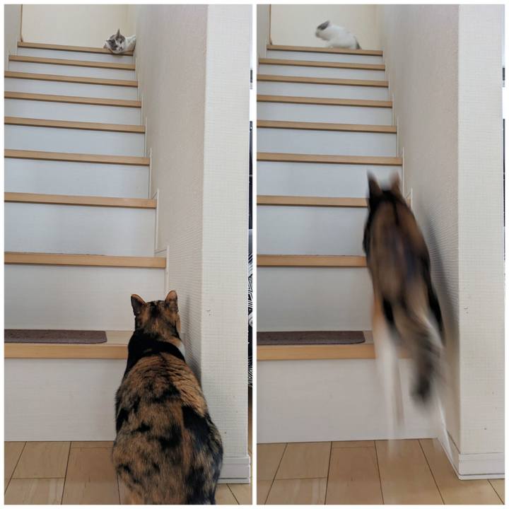 493d5737 090f 40a8 9769 4e9e85a5aa0c 1706587938772